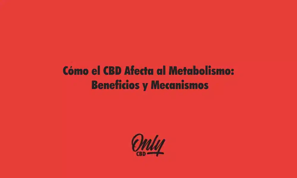 Como o CBD afeta o metabolismo