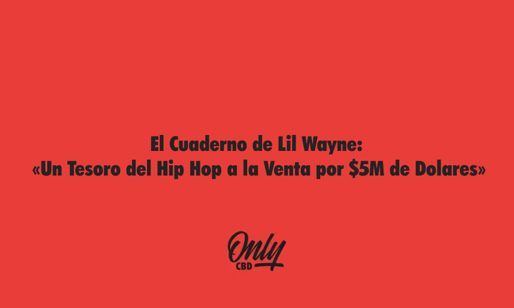 Caderno de Lil Wayne