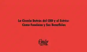 A ciência por trás do CBD e do estresse
