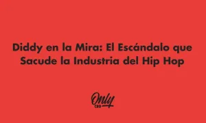 Diddy em destaque