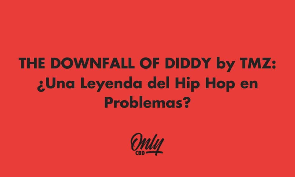 La chute de Diddy selon TMZ