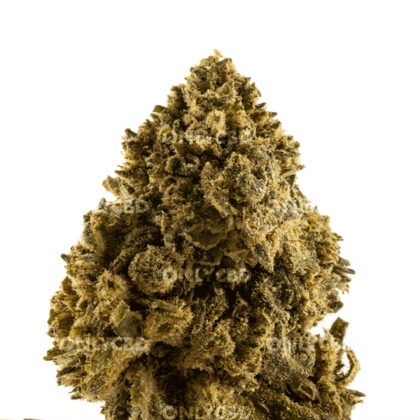 ZKITTLEZ PUNTA_MA Zkittlez CBD - Foto producto