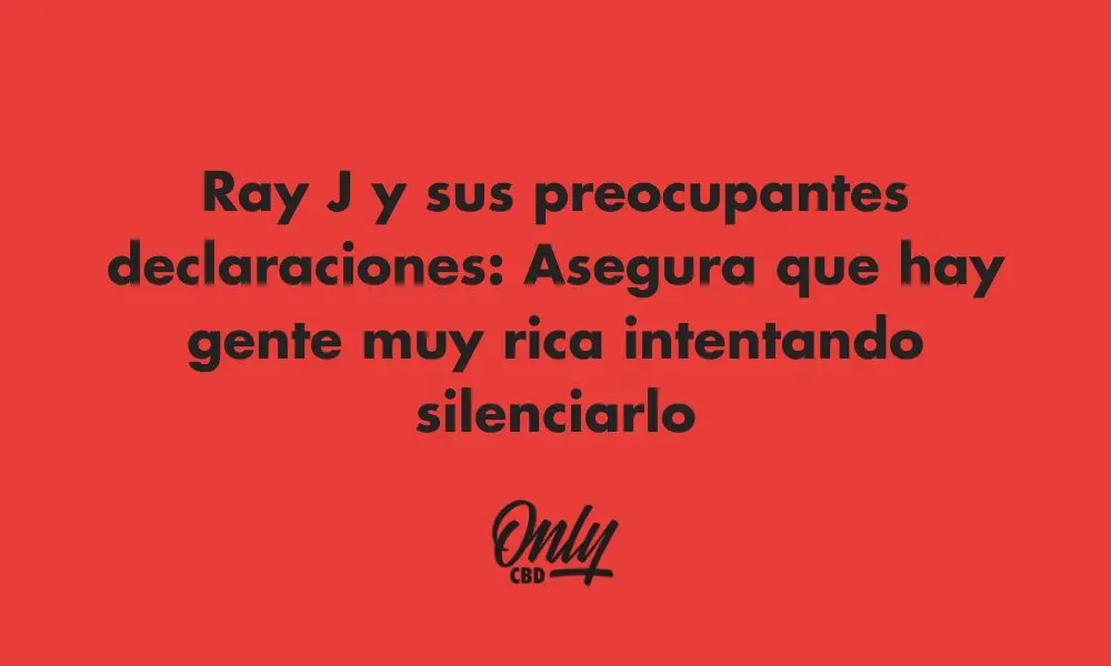 Ray J e suas declarações preocupantes