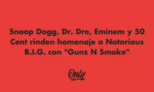 Snoop Dogg, Dr. Dree, Eminem e 50 Cent prestam homenagem a Notorious