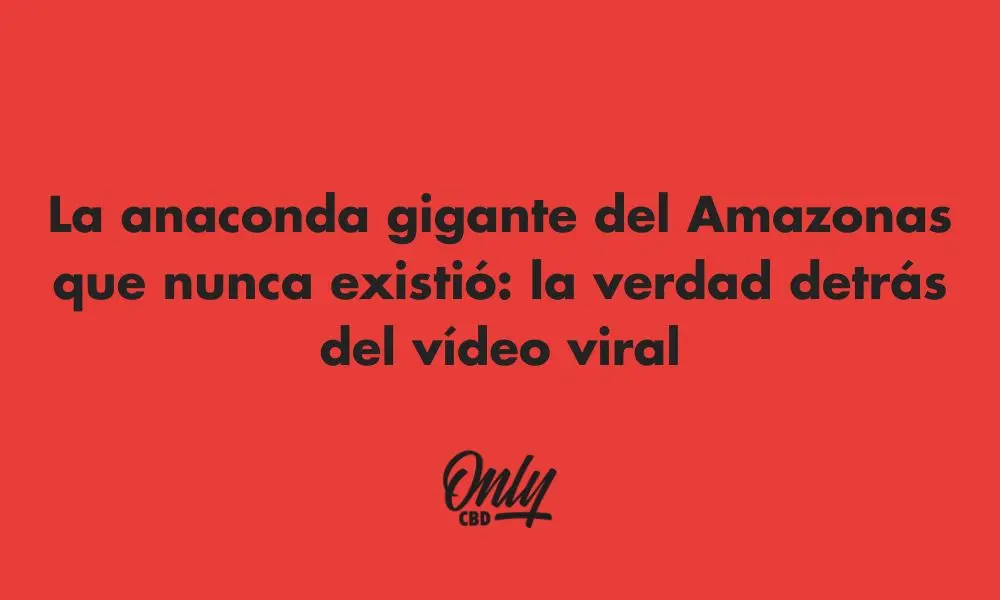 A sucuri gigante da Amazônia que nunca existiu: a verdade por trás do vídeo viral